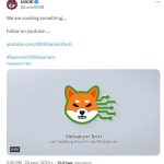 Команда Shiba Inu создала на YouTube новый канал про Shibarium