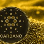 Количество крупных держателей Cardano растет
